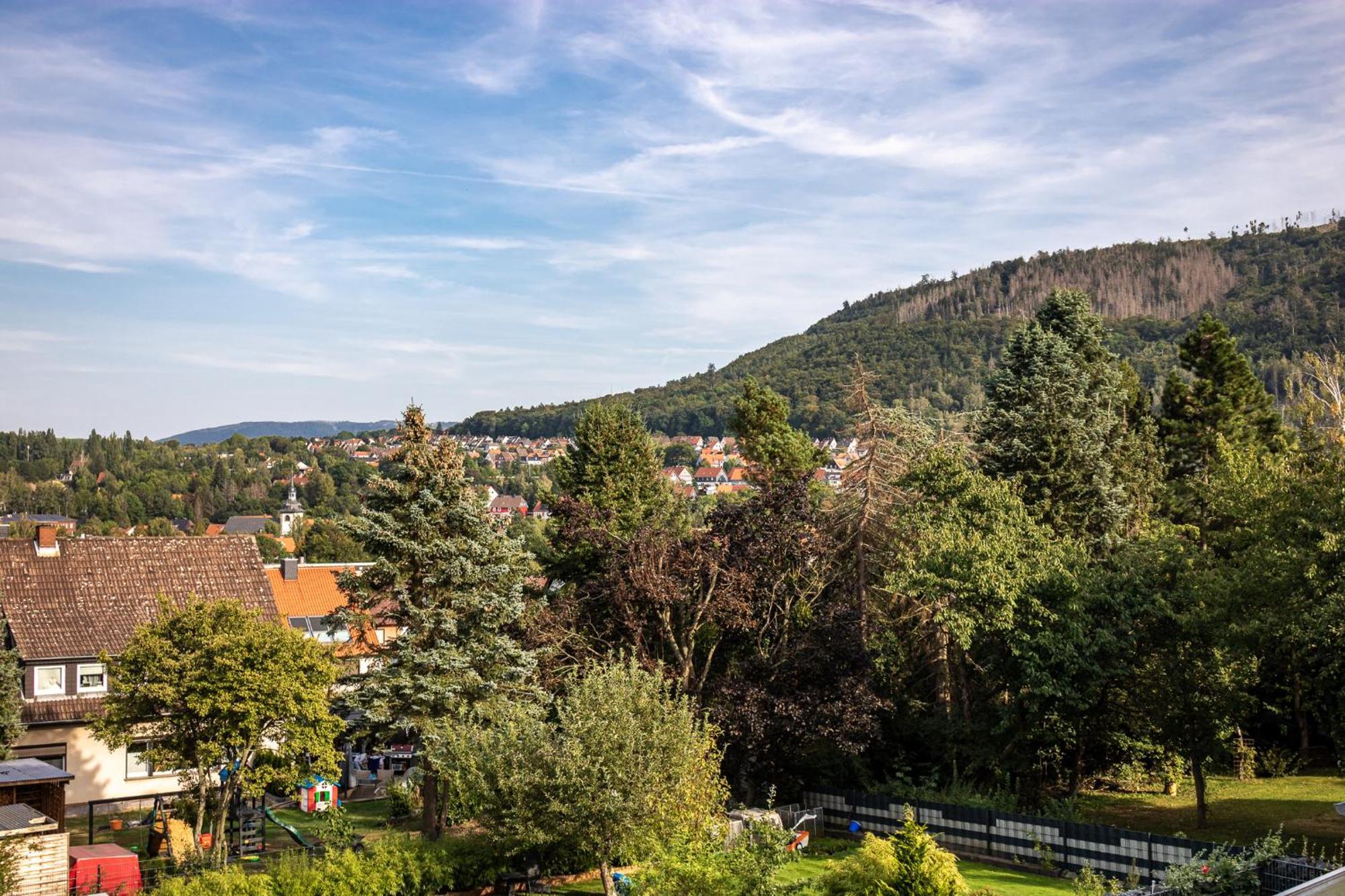 Ferienwohnung Am Bollrich Goslar Esterno foto